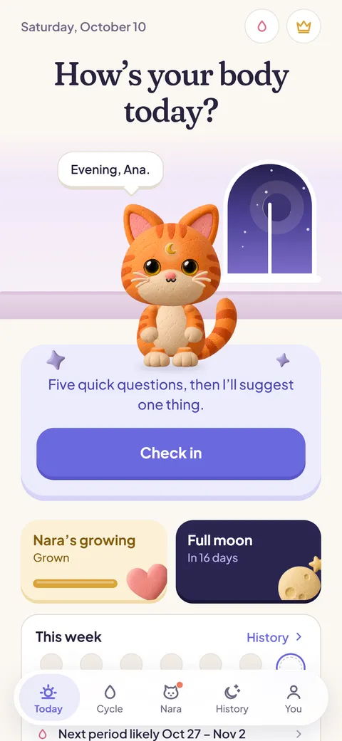 The daily check-in asking how much energy you have.